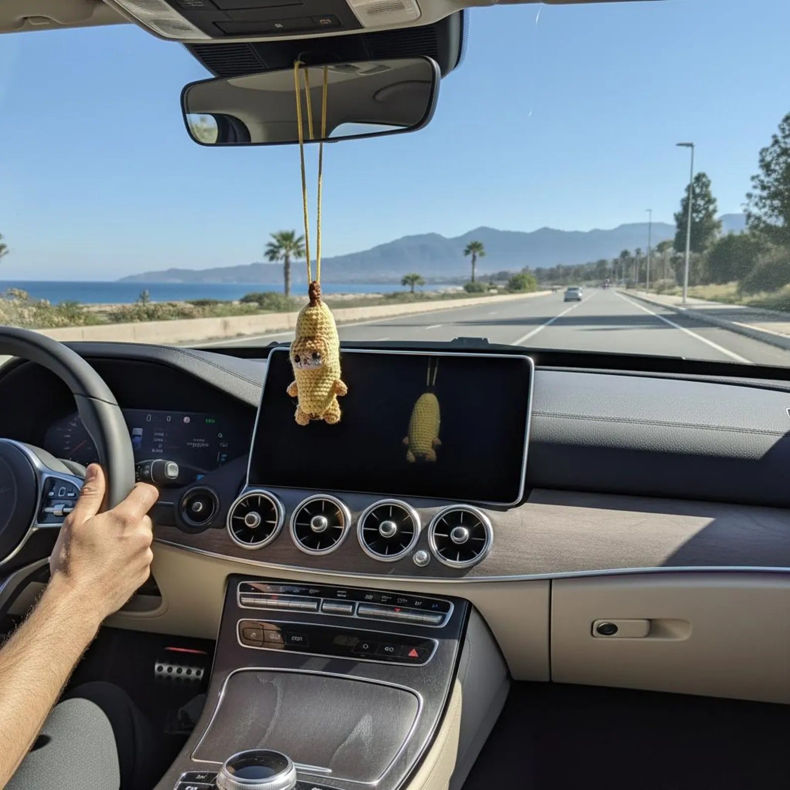 Banana Cat Car Hanging Crochet Kit