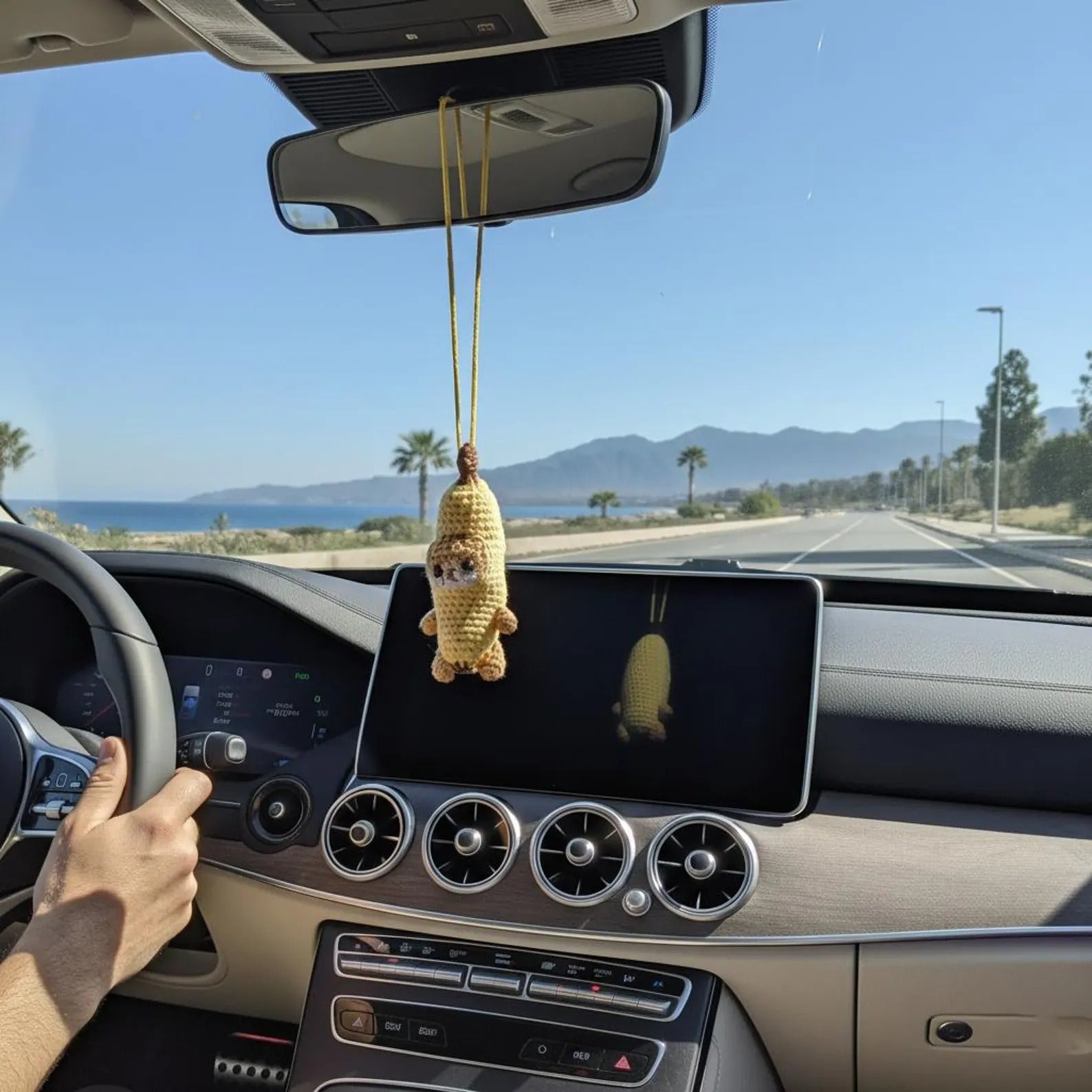 Banana Cat Car Hanging Crochet Kit
